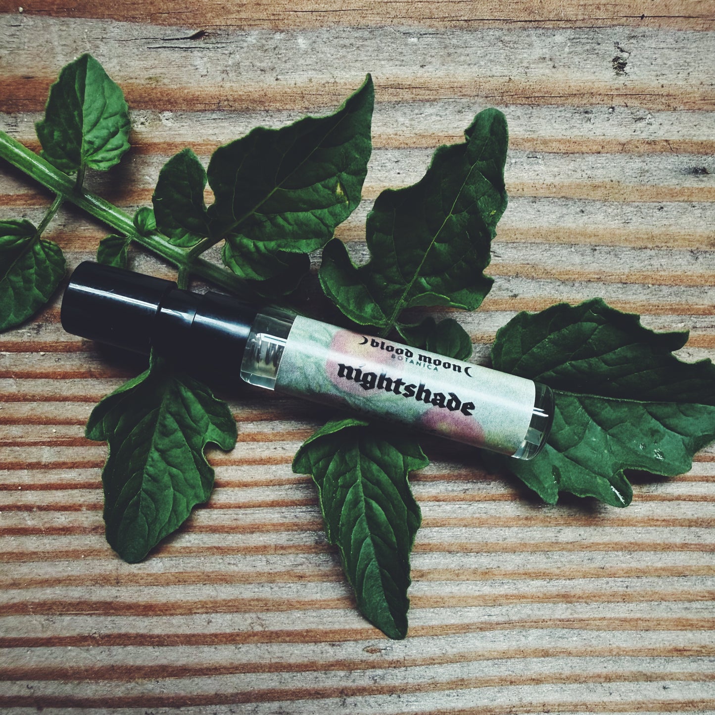 Nightshade Eau de Parfum - Tomato Leaf, Basil, Fig Leaf, Aged Patchouli