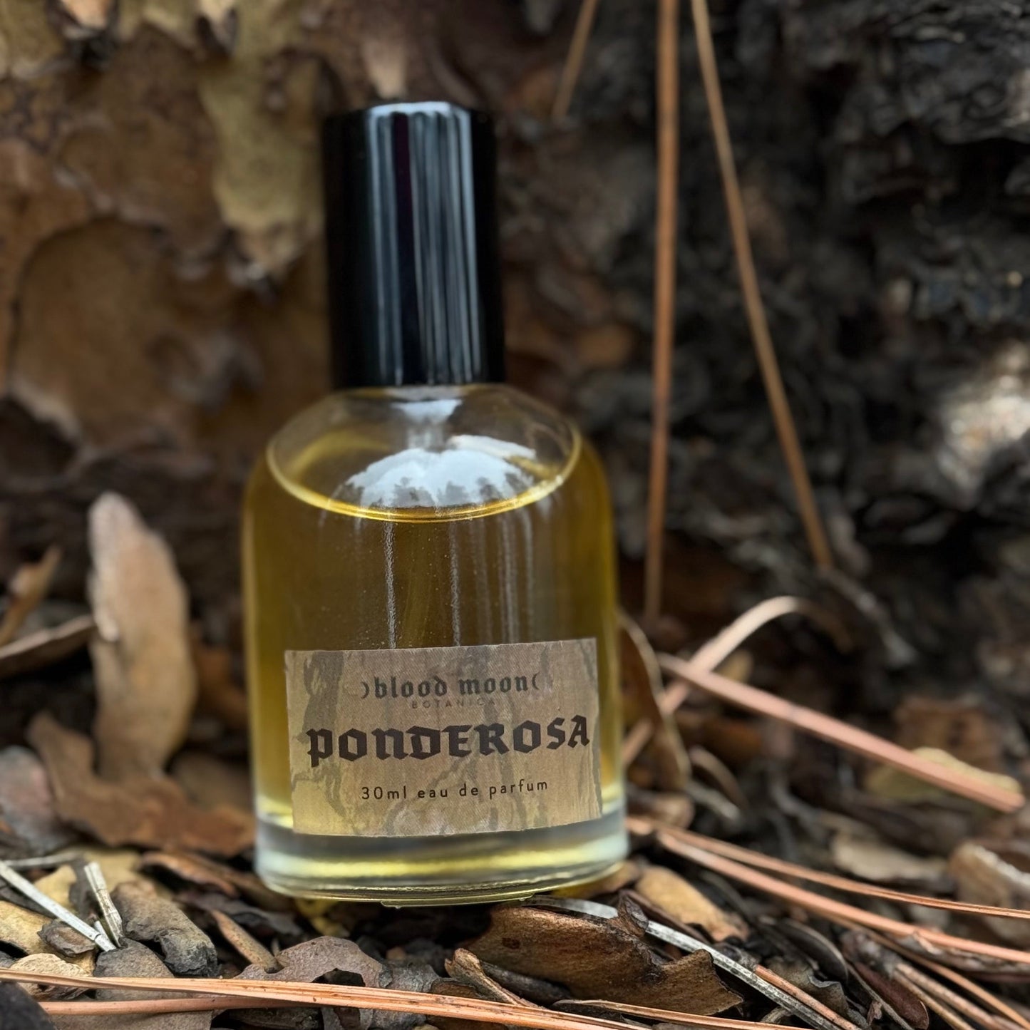 Ponderosa Eau de Parfum