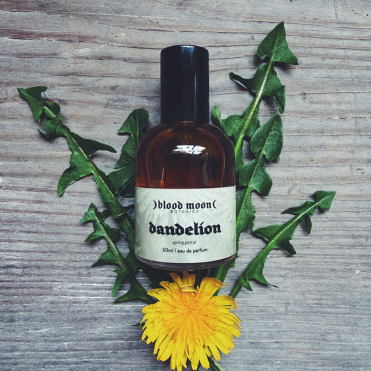 Dandelion Eau de Parfum - Honeyed Yellow Flower, Bitter Greens, Roasted Root, Vetiver