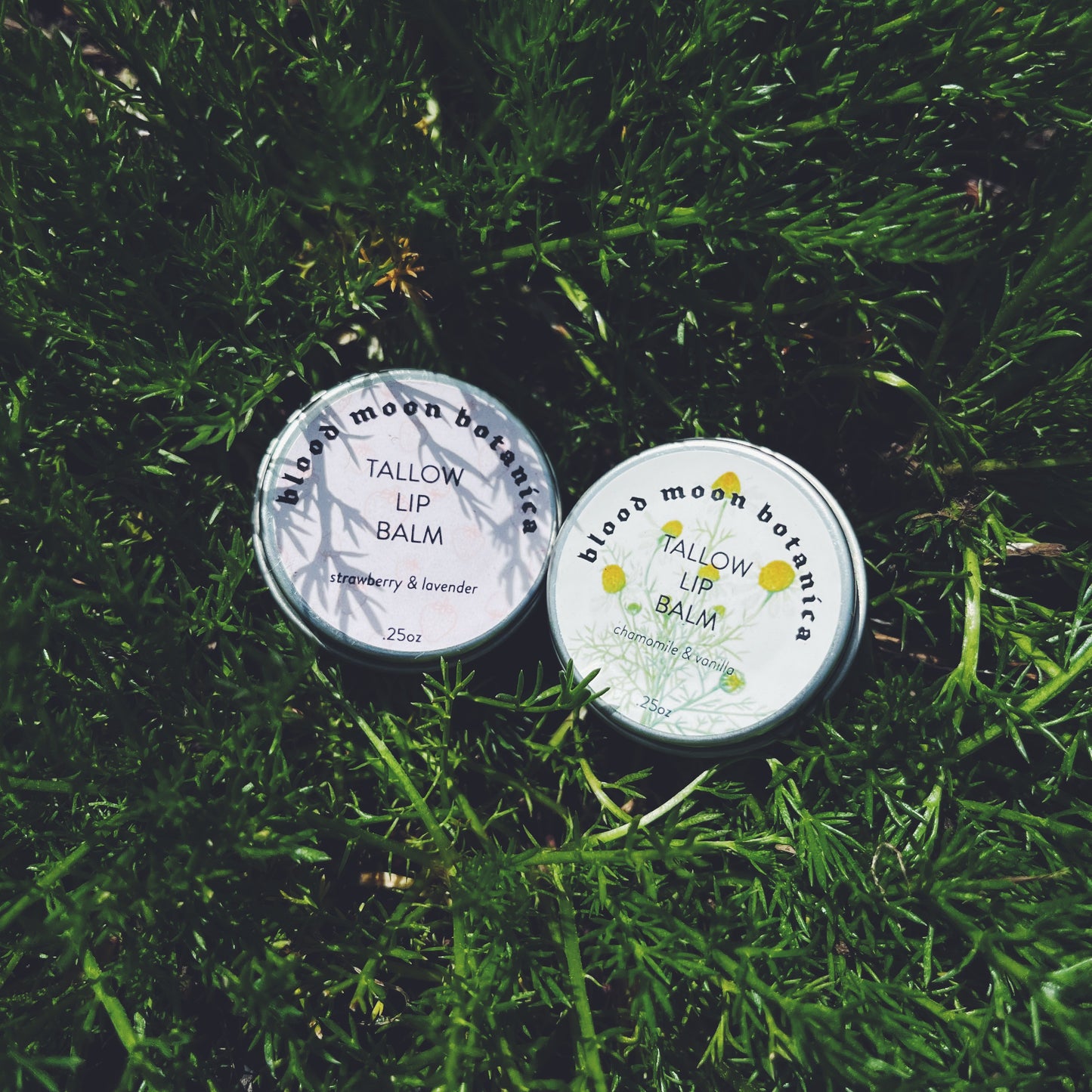 Tallow (Calendula Infused) Lip Balm