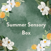 Summer Sensory Box