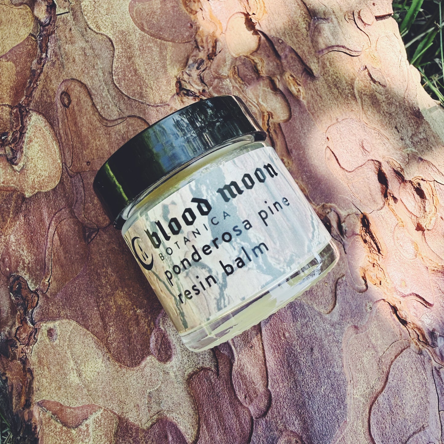 Ponderosa Pine Resin Salve