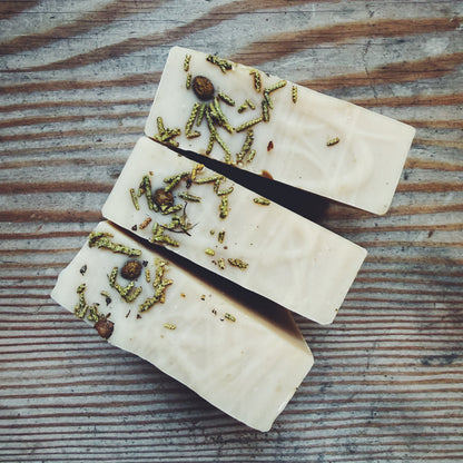 Western Juniper Whole Plant Infused Cold Process Soap